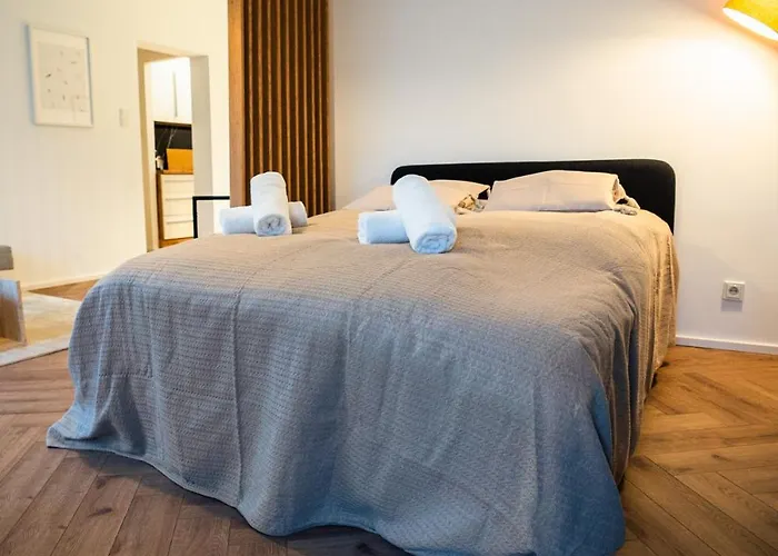 Apartament 1 Bedroom - Zentral - Terrasse - Kueche - Wifi - Business - Ruhig *